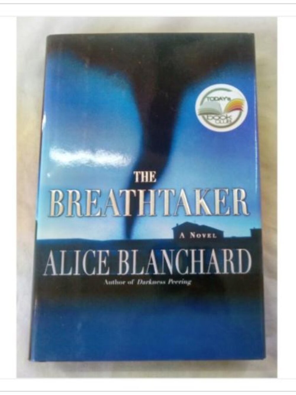 The Breathtaker A Novel Warner Books 2003 HC